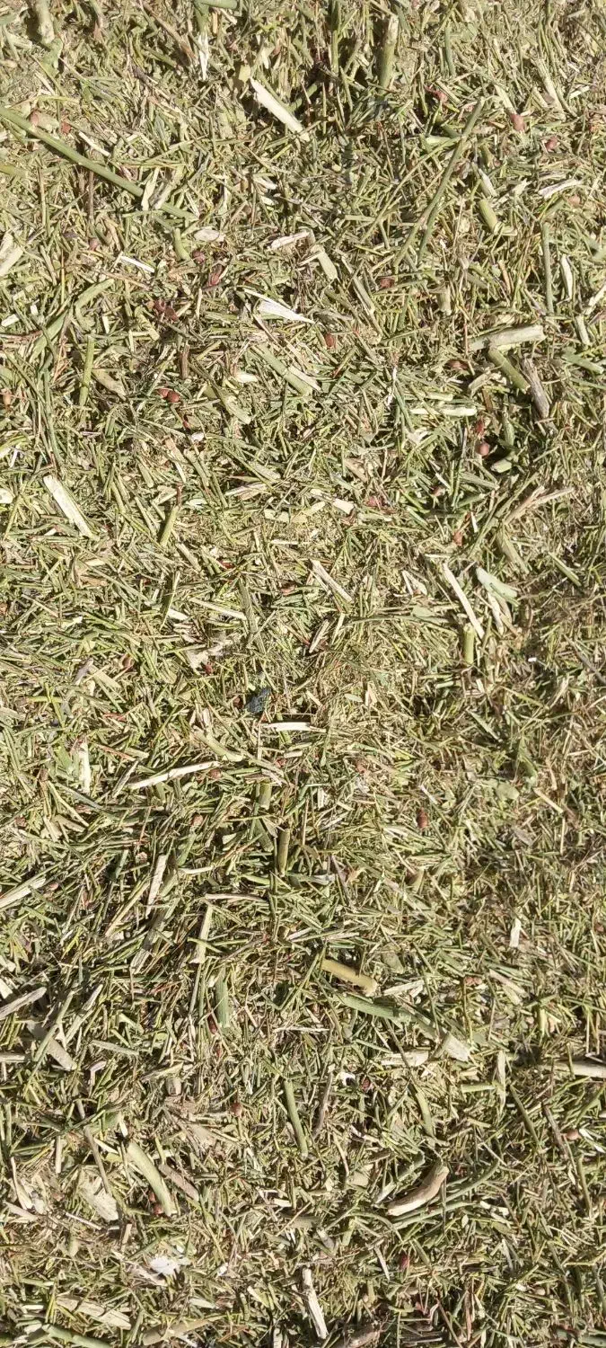 خارشتر کیلو ۱۰|عمدهفروشی|فریمان, |دیوار