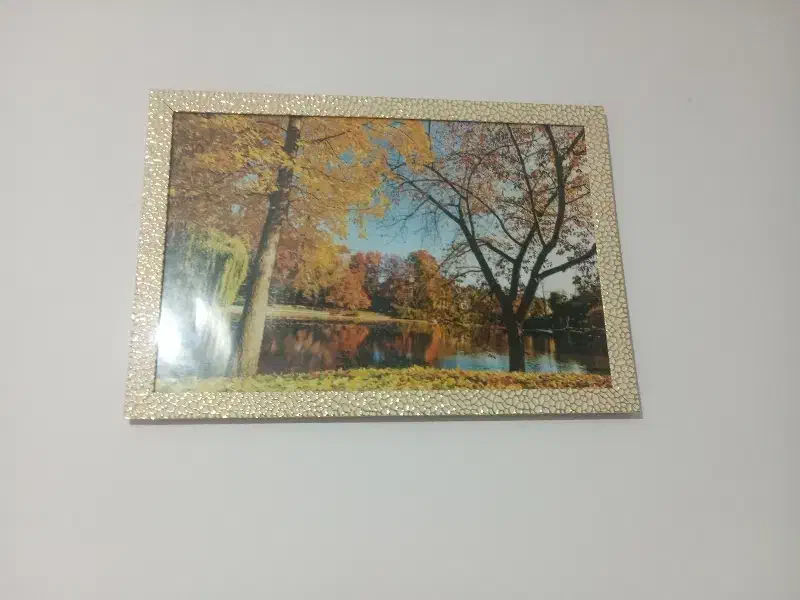 دو عدد تابلو|تابلو، نقاشی، عکس|قوچان, |دیوار