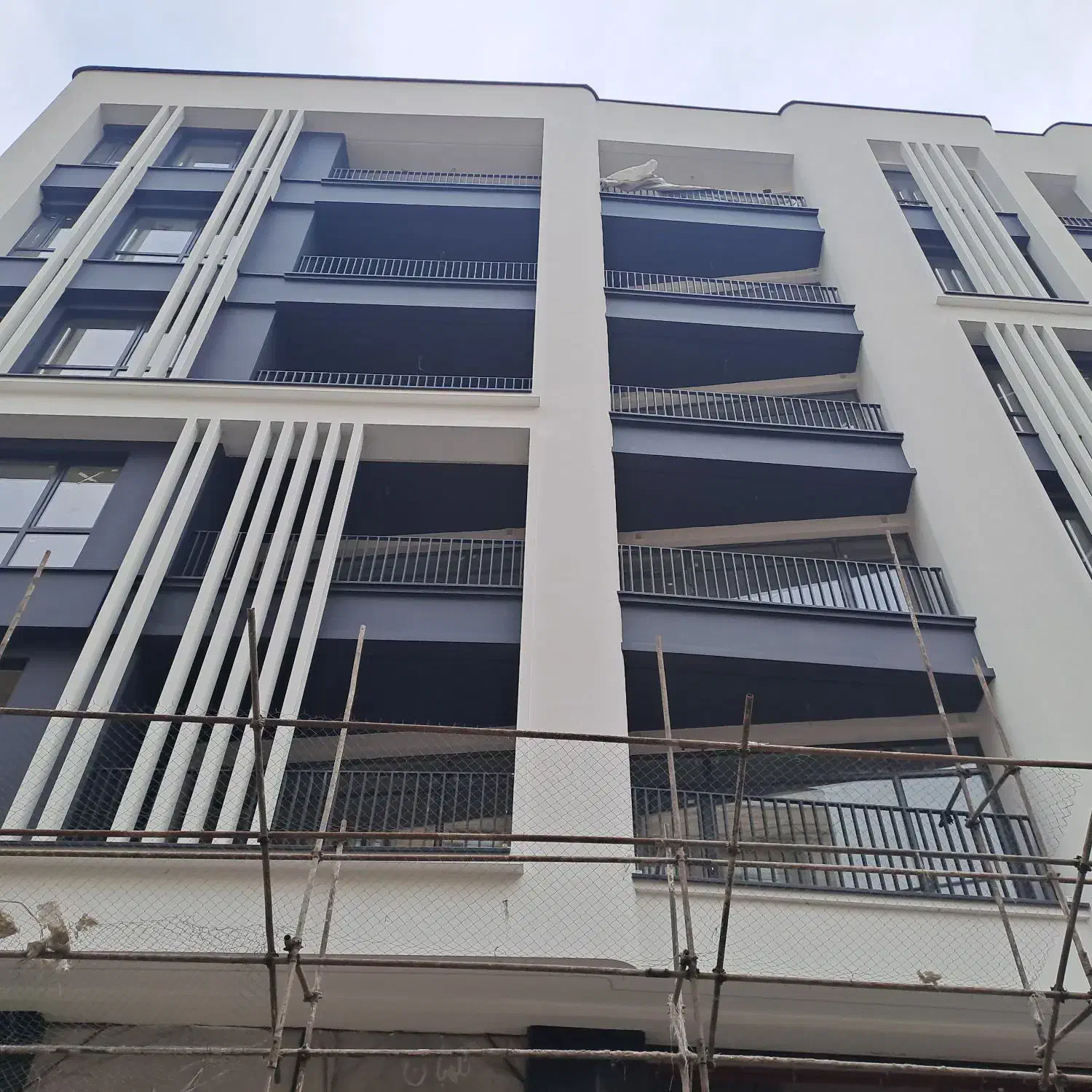 تمام مناطق بی واسطه 75مالک|مشارکت در ساخت املاک|تهران, فاطمی|دیوار