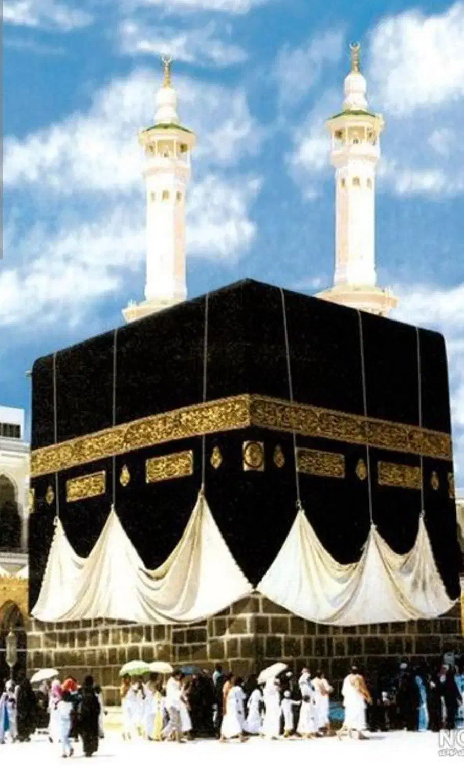 فروش فیش حج تمتع|تور و چارتر|ساری, |دیوار