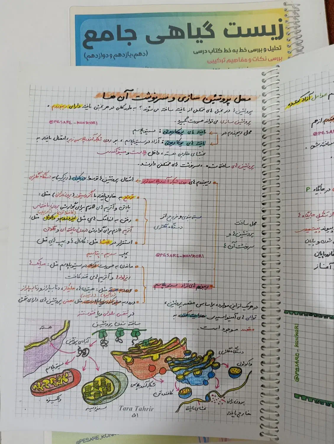 جزوه شیمی زیست رنگی رنگی نهایی کنکور|کتاب و مجله آموزشی|اردبیل, |دیوار