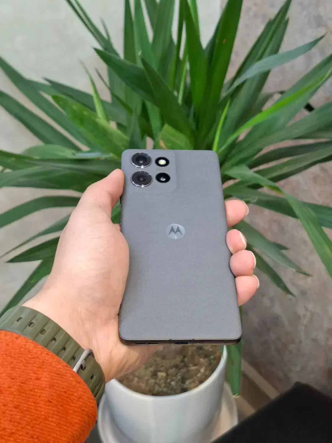 موتورولا Moto Edge 50 رم ۱۲ حافظه ۵۱۲|موبایل|مشهد, بهشت|دیوار