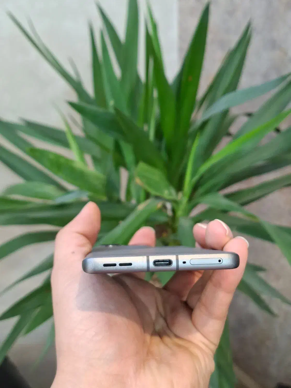 موتورولا Moto Edge 50 رم ۱۲ حافظه ۵۱۲|موبایل|مشهد, بهشت|دیوار