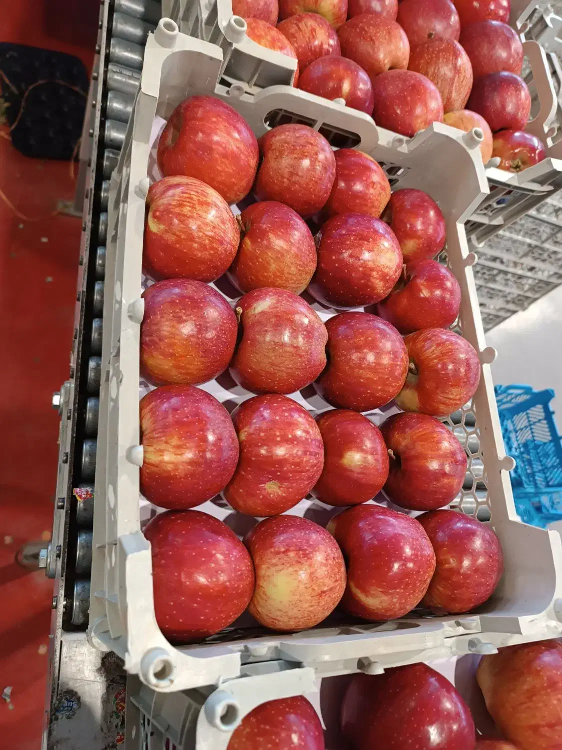 نیازمند نیرو خانوم|استخدام صنعتی، فنی، مهندسی|ارومیه, |دیوار