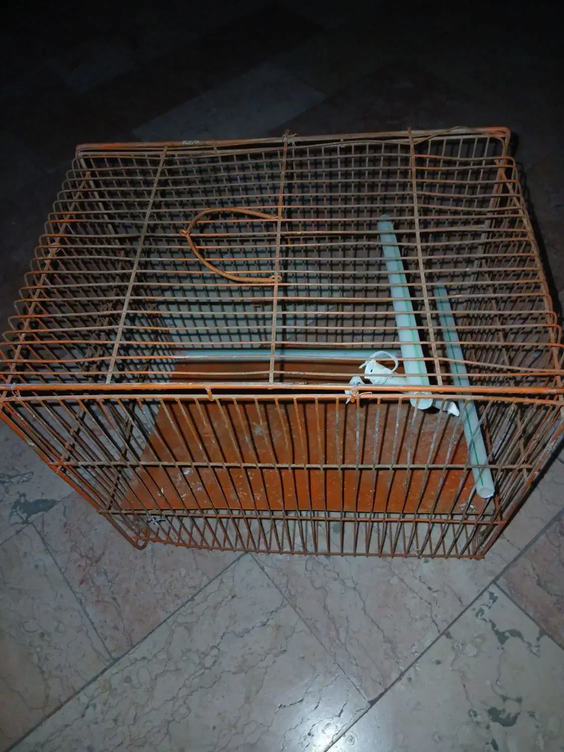 دانه پرنده|لوازم جانبی حیوانات|محمدشهر, ولدآباد|دیوار