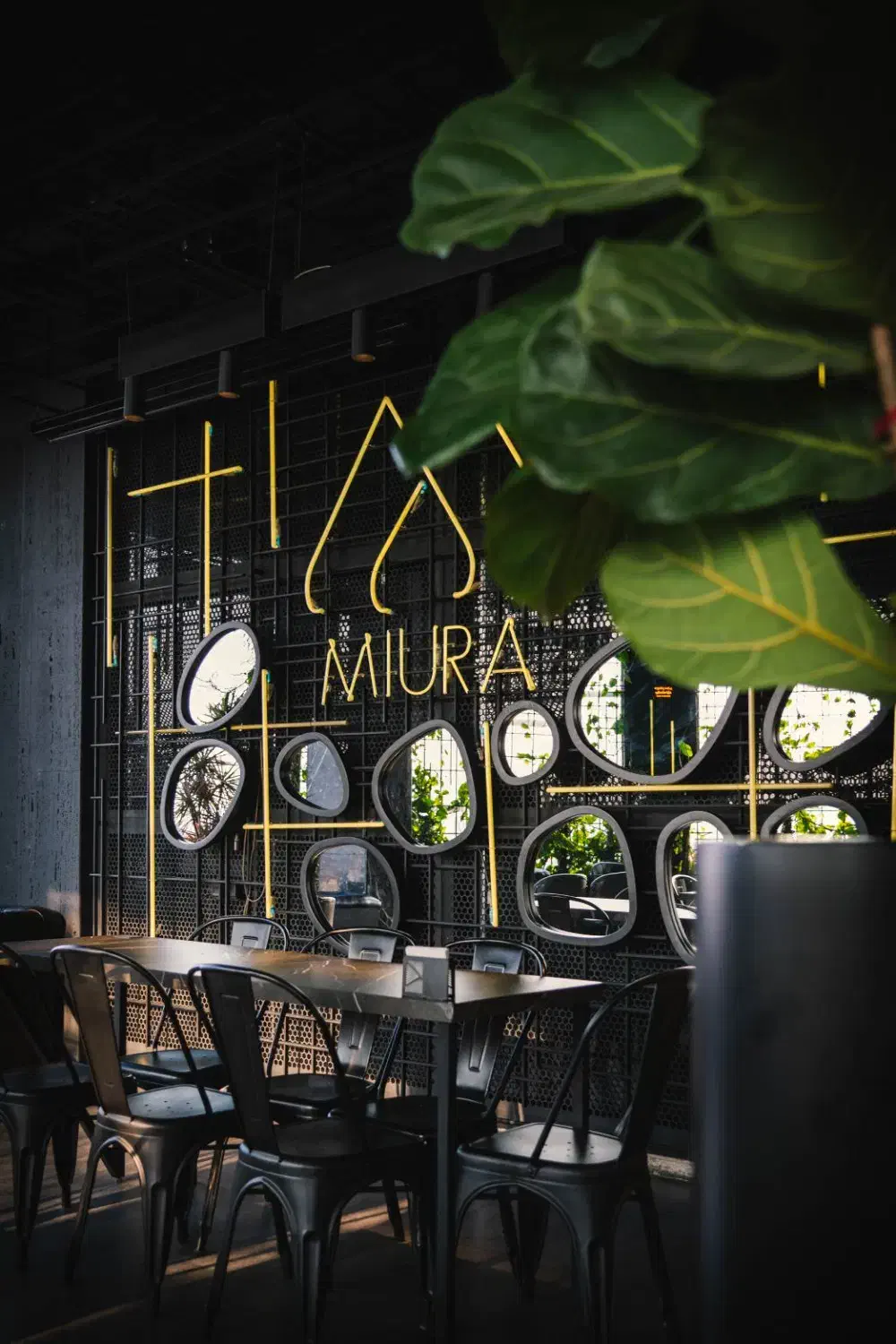 استخدام صندوقدار مجموعه میورا|استخدام خدمات فروشگاه و رستوران|لاهیجان, شیشه گران|دیوار