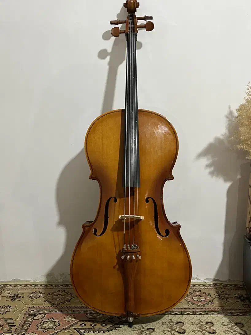 ویلنسل ۴/۴|ویولن|تبریز, |دیوار