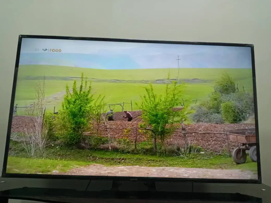 فروش تلوزیون ال ای دی ۵۰ اینچ نکسار|تلویزیون و پروژکتور|مبارکه, |دیوار
