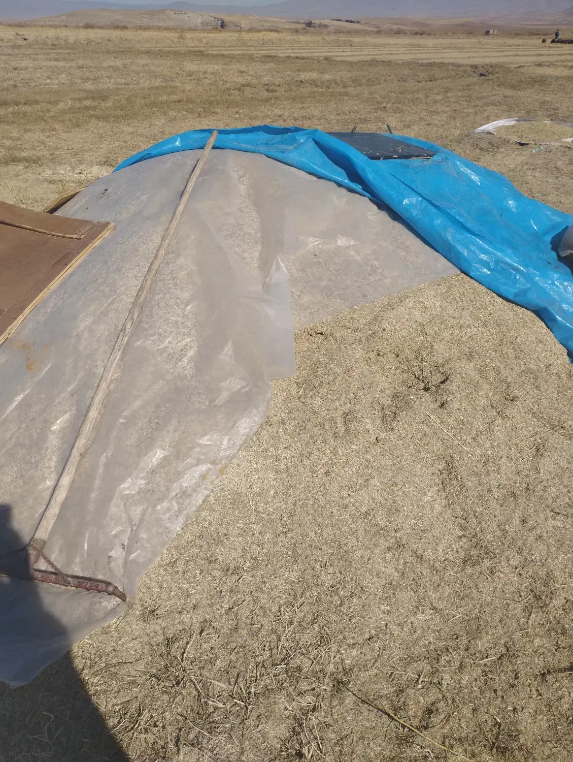 کاه یونجه|حیوانات مزرعه|هریس, |دیوار