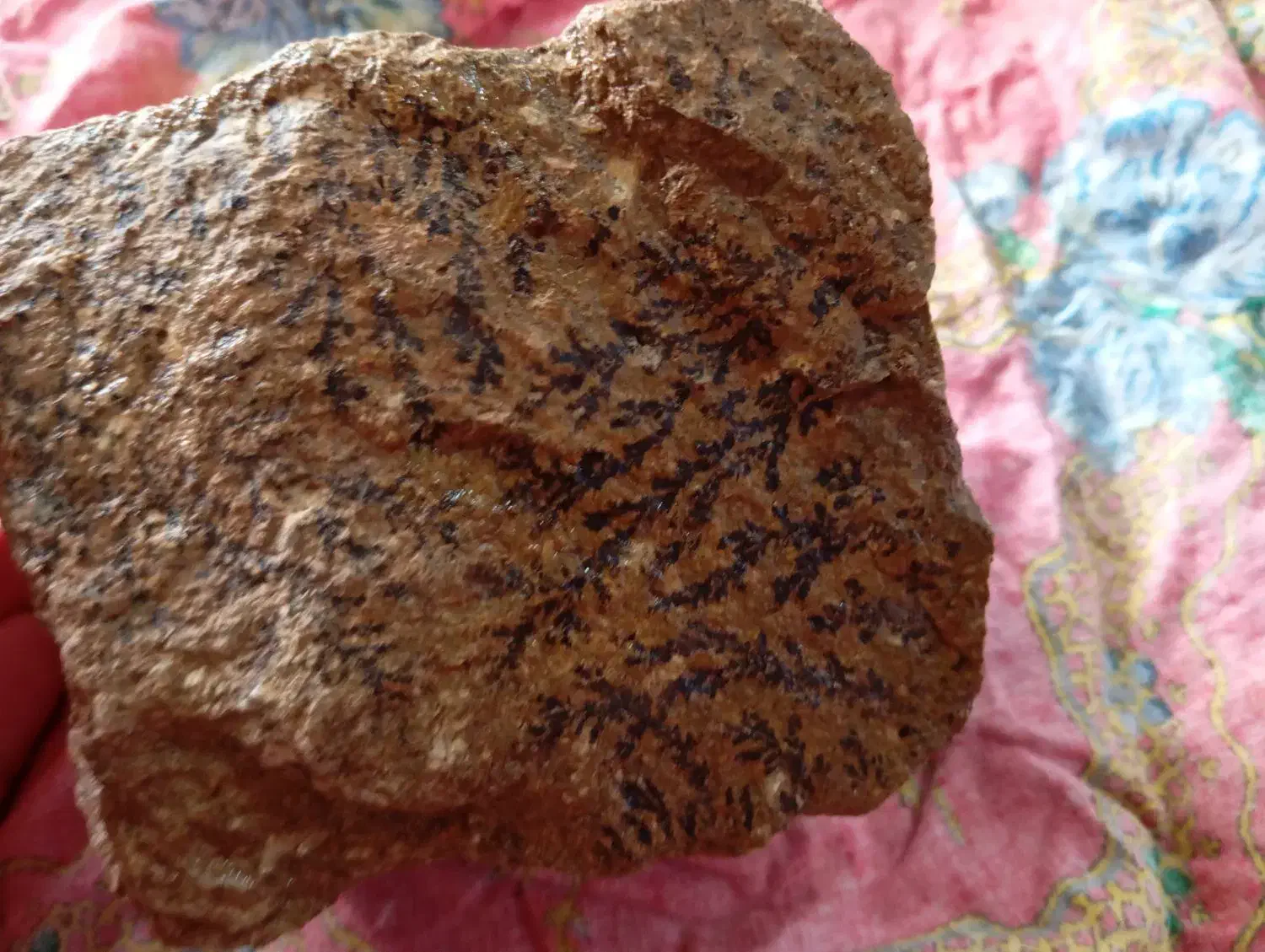 سنگ شجر|کلکسیون اشیاء عتیقه|اهر, |دیوار