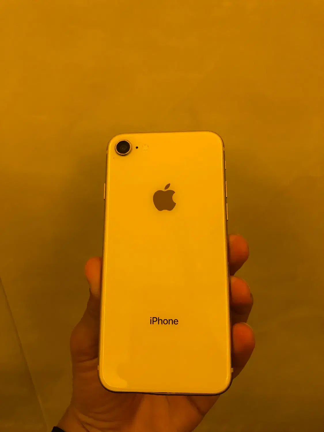 Iphone 8|موبایل|قائمشهر, |دیوار