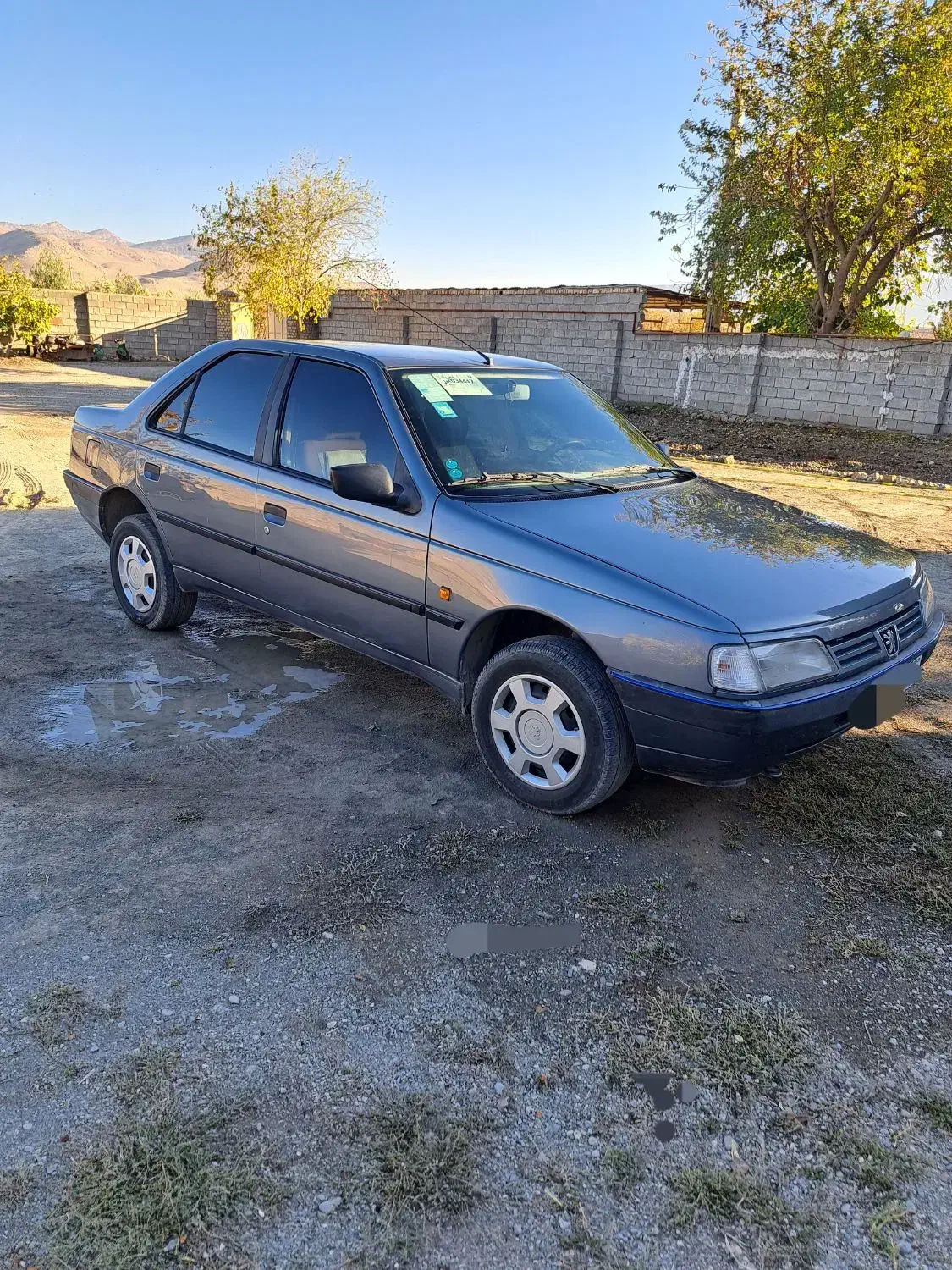 پژو۹۷ دوگانه|خودرو سواری و وانت|درب گنبد, |دیوار