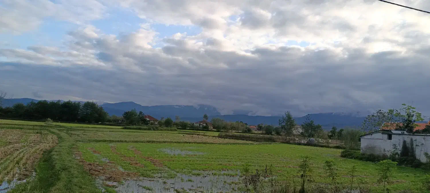 زمین زراعی و مسکونی|فروش زمین و ملک کلنگی|شفت, |دیوار