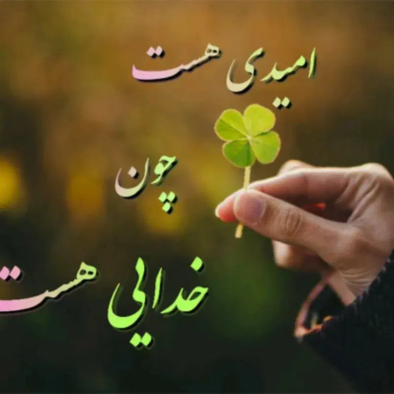 نظافت منزل پله پارکینک محل کاروغیره|خدمات نظافت|گنبد کاووس, |دیوار