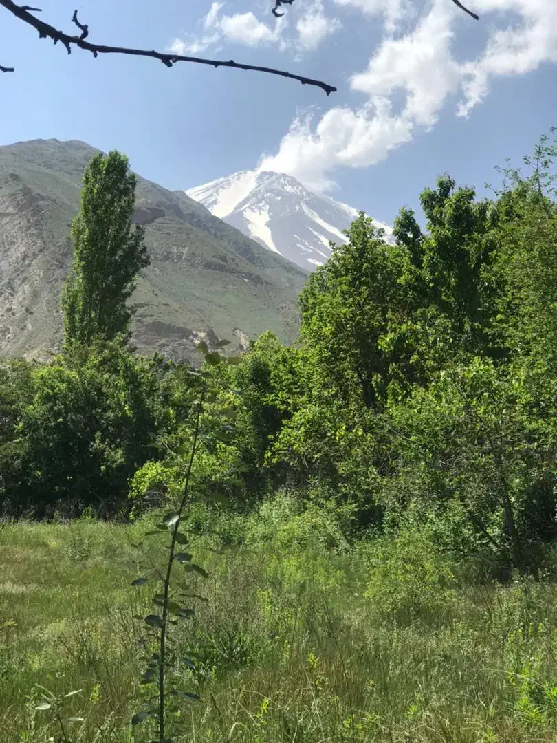 1200متر مربع باغ با سند تک برگ|فروش زمین و ملک کلنگی|رینه, |دیوار