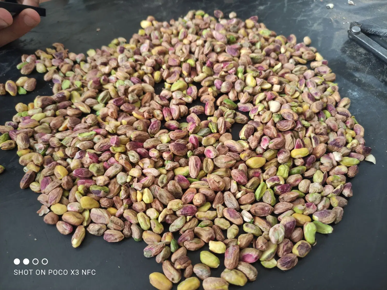 مغز پسته|خوردنی و آشامیدنی|ماهان, |دیوار