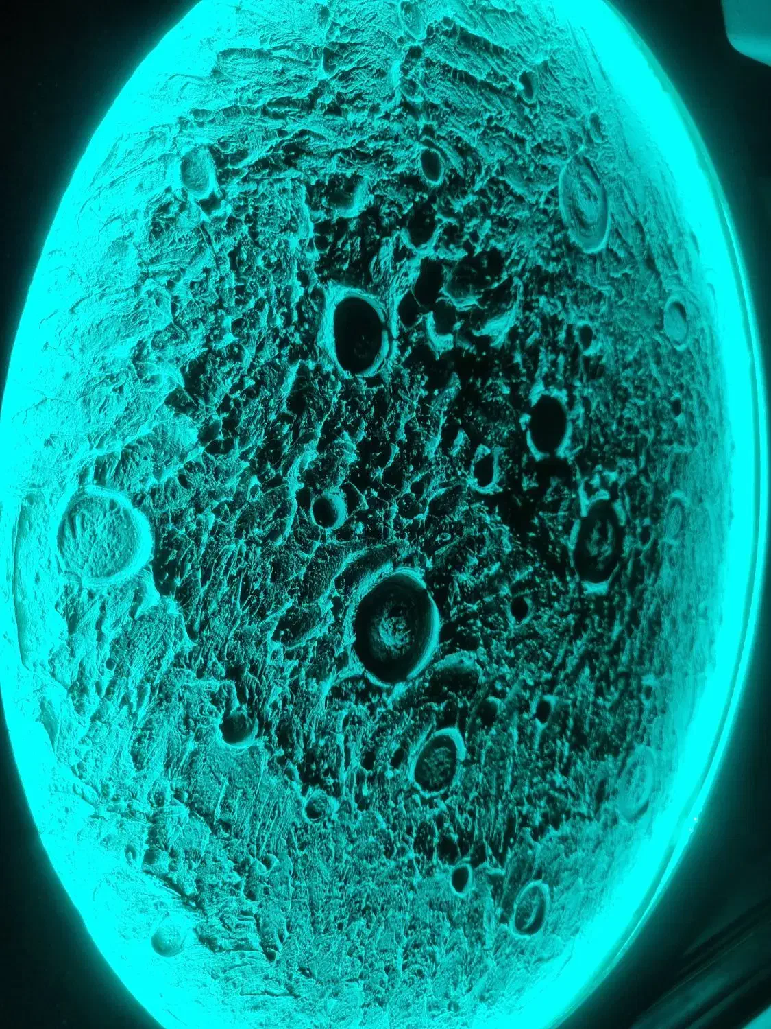 ماه شب خاب برجسته تکسچر|چراغ خواب و آباژور|رشت, پیرسرا|دیوار