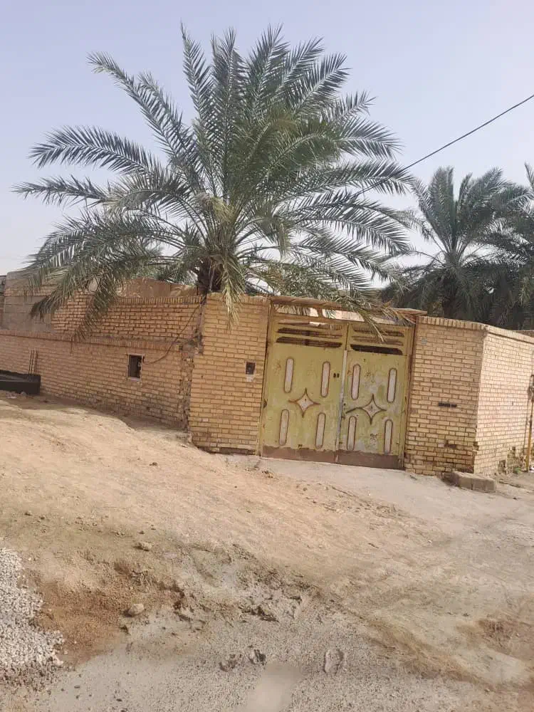 شادگان|اجارهٔ خانه و ویلا|شادگان, |دیوار