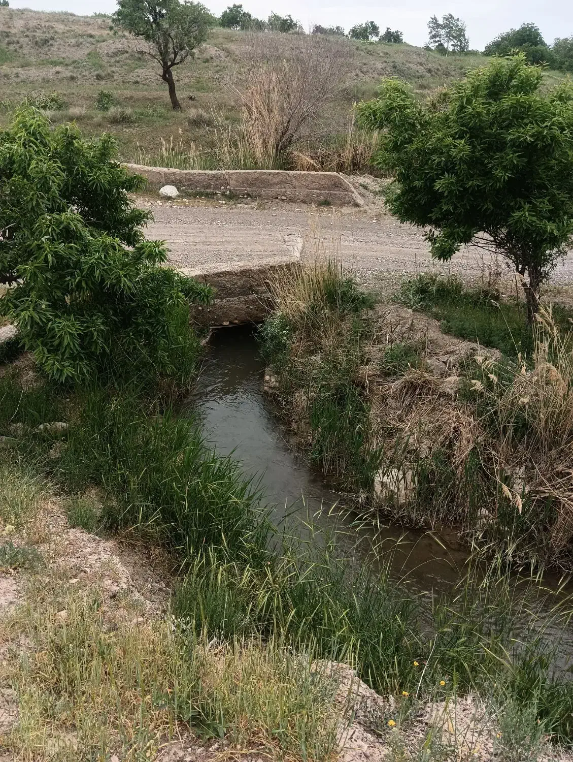 فروش و تهاتر ۴هکتار زمین باغی زراعی بومگردی و ...|فروش دفتر صنعتی، کشاورزی، تجاری|نوبران, |دیوار