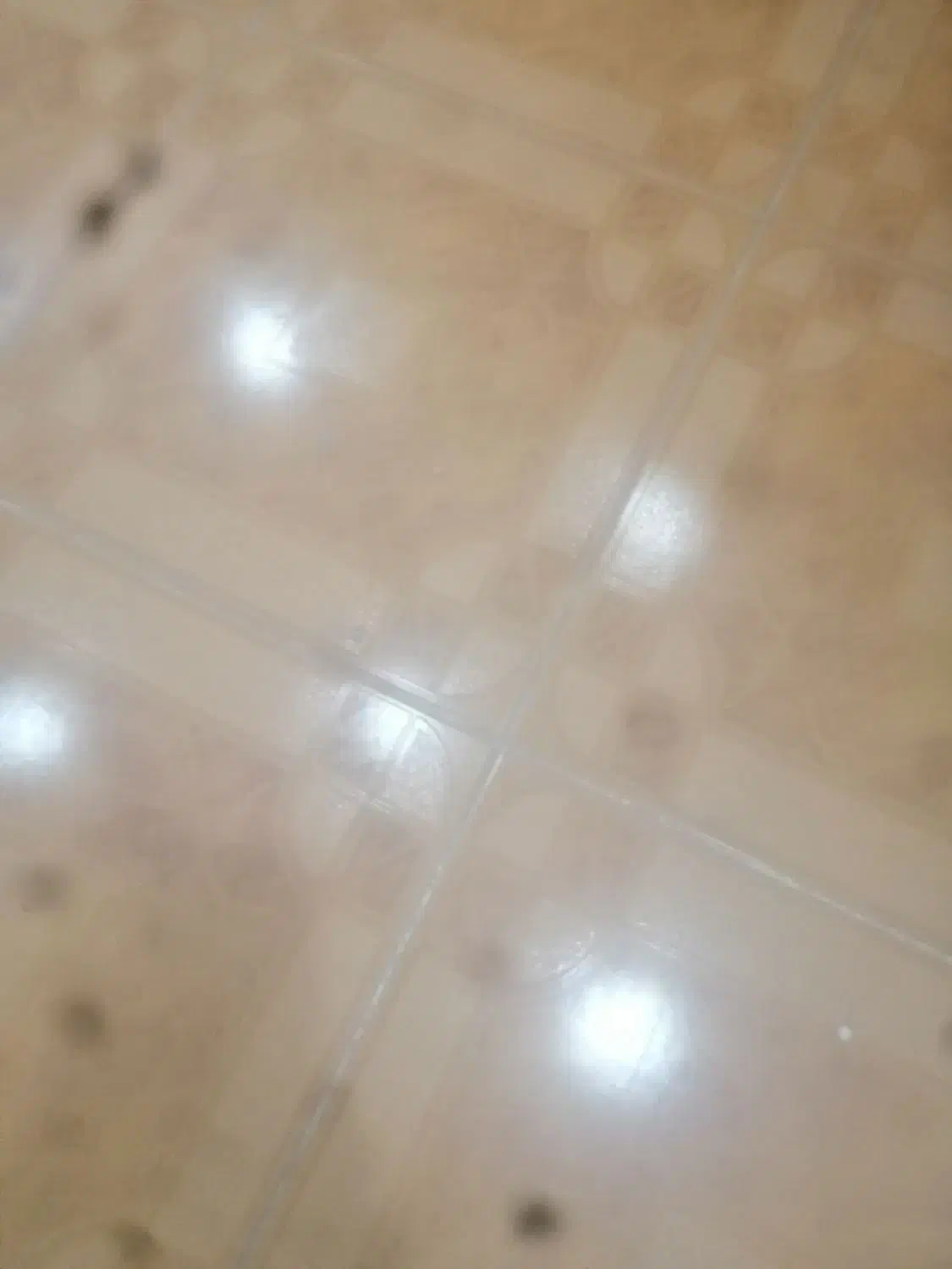 فروش مغازه تجاری واقع در بلوار پاسداران|فروش مغازه و غرفه|فیروزآباد (فارس), |دیوار