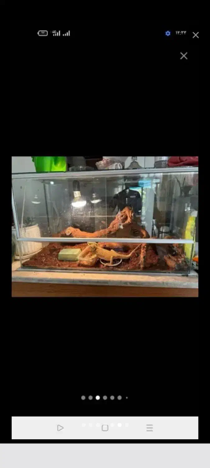 باکس ، آکواریوم ، همه مدل|ماهی|تهران, افسریه شمالی|دیوار