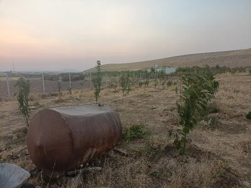 فروش زمین خانه باغ معاوضه بنز۹۱۱|فروش دفتر صنعتی، کشاورزی، تجاری|بوکان, |دیوار