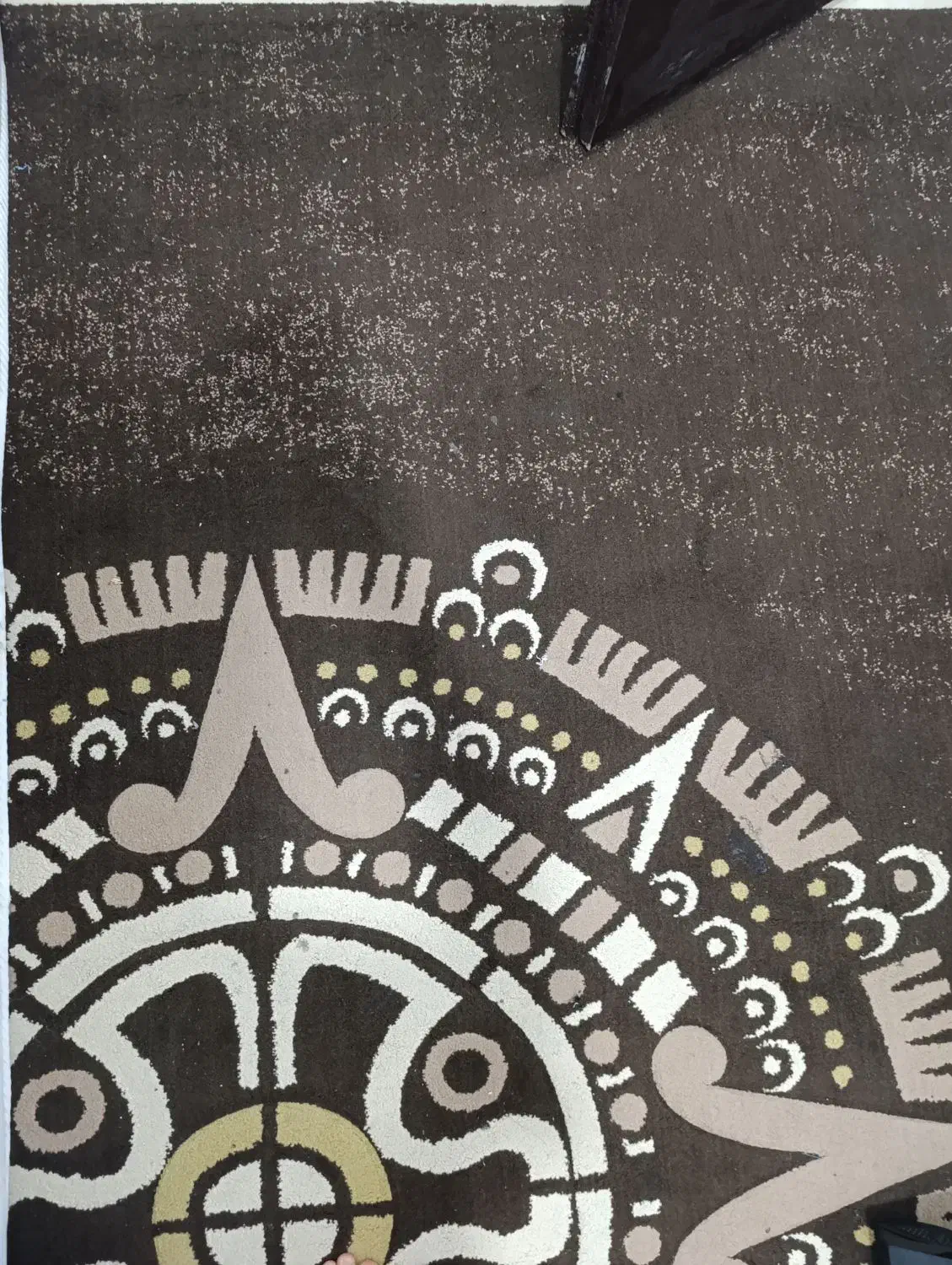 فرش 9 متری|فرش|بندرعباس, |دیوار