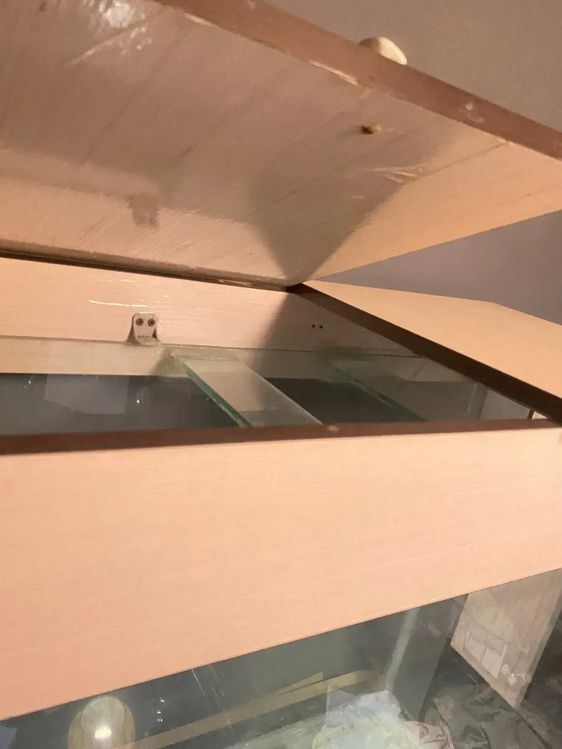 اکواریوم|ماهی|رشت, فلسطین|دیوار