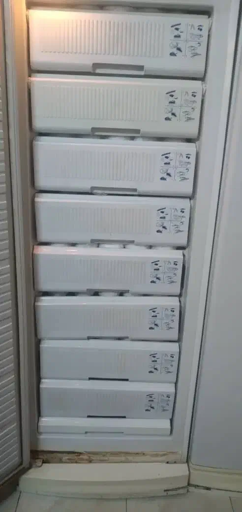 یخچال دوقلو یخساران|یخچال و فریزر|ورامین, ورامین|دیوار