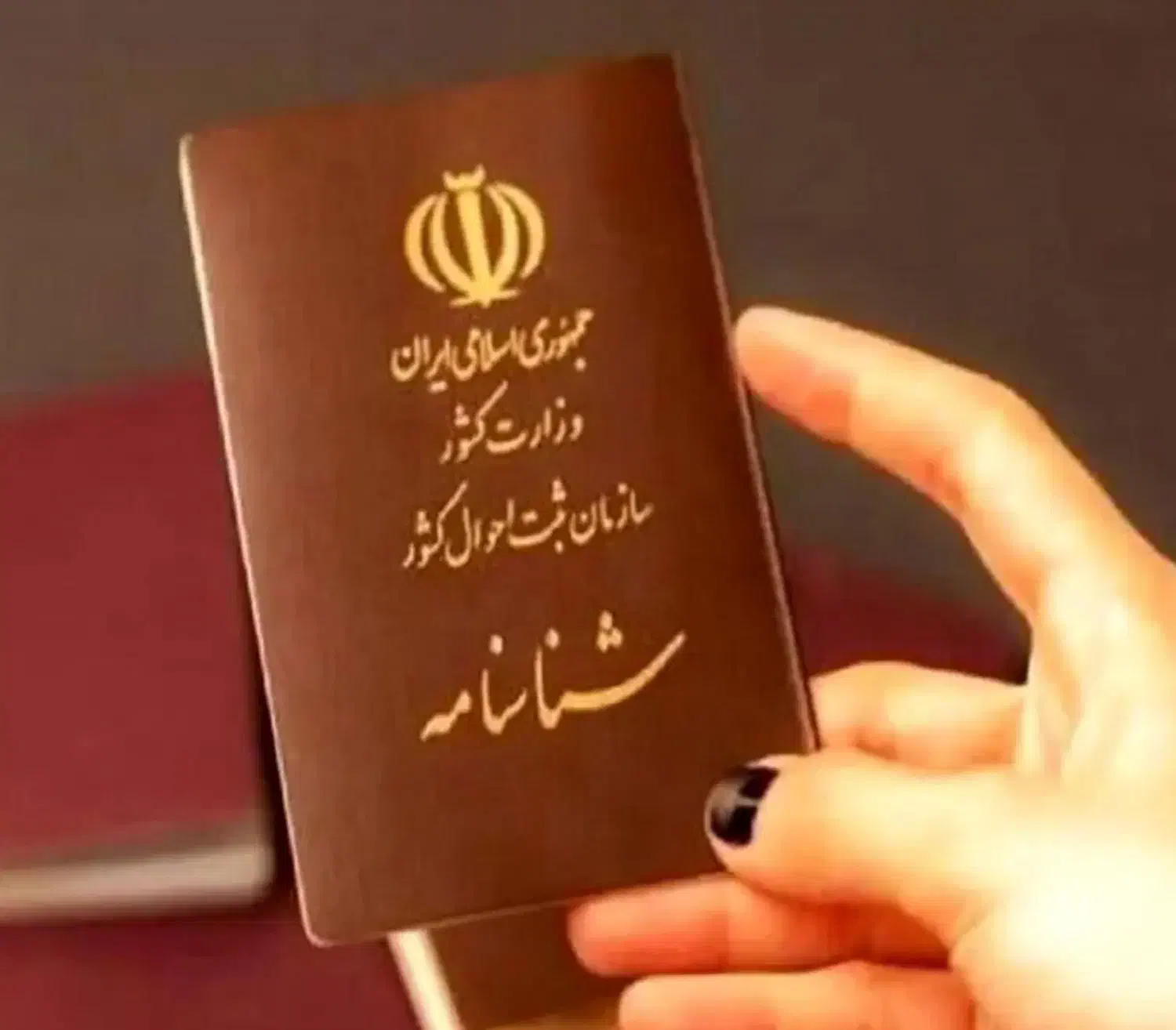 شناسنامه و مدارک دانشگاهی|اشیا|تبریز, |دیوار