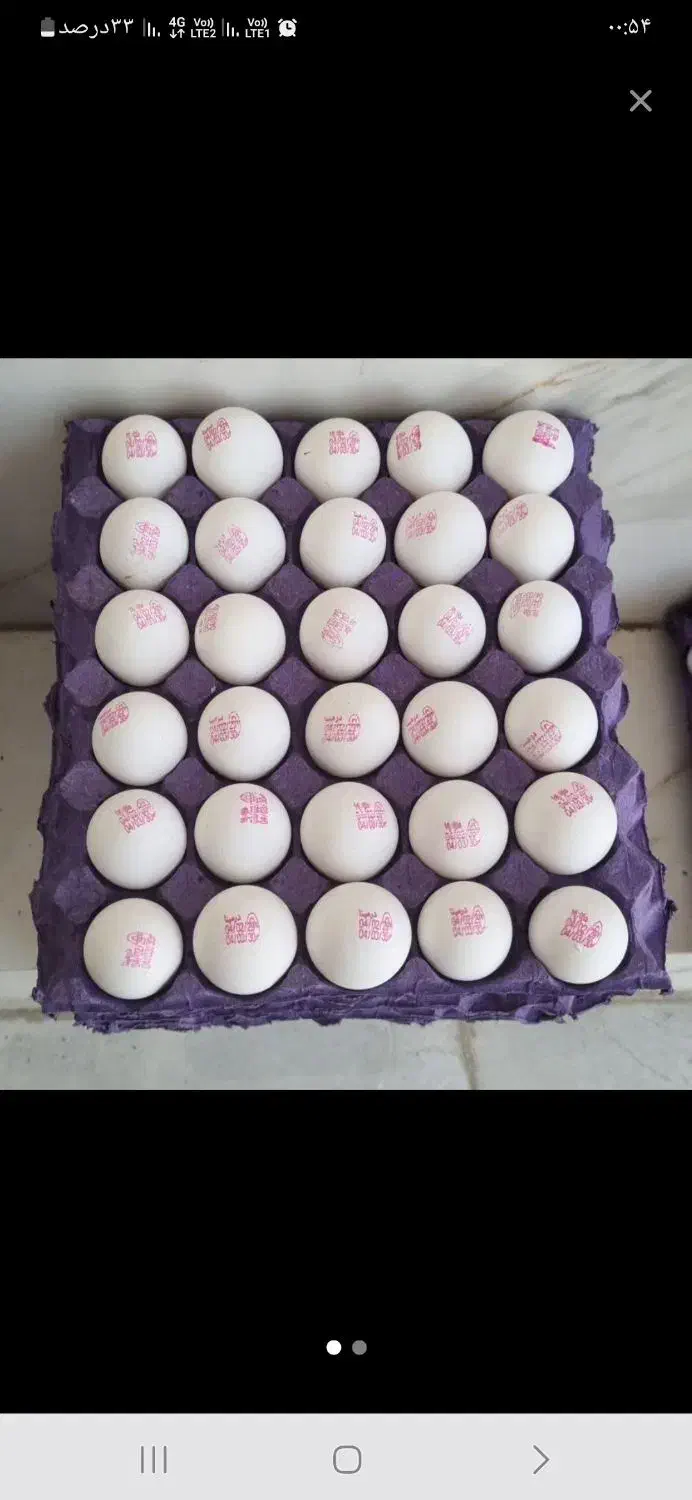 پخش عمده وخرده تخم مرغ  زرین پر تمام نقاط تهران|خوردنی و آشامیدنی|تهران, نازی‌آباد|دیوار