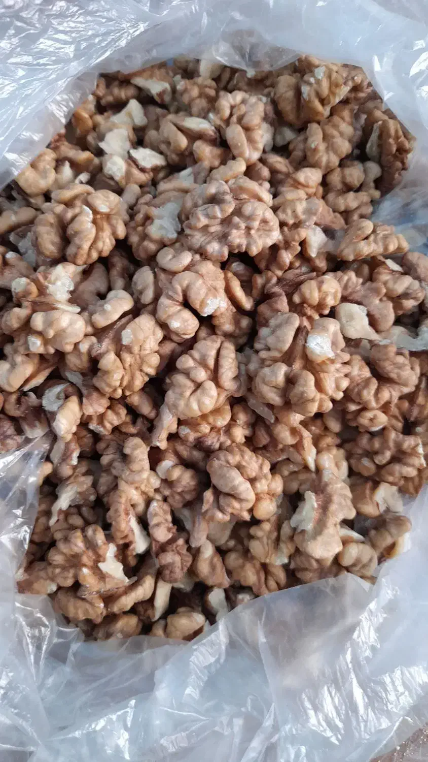 گردو ارگانیک و خوشمزه الموت|خوردنی و آشامیدنی|محمدیه-قزوین, |دیوار