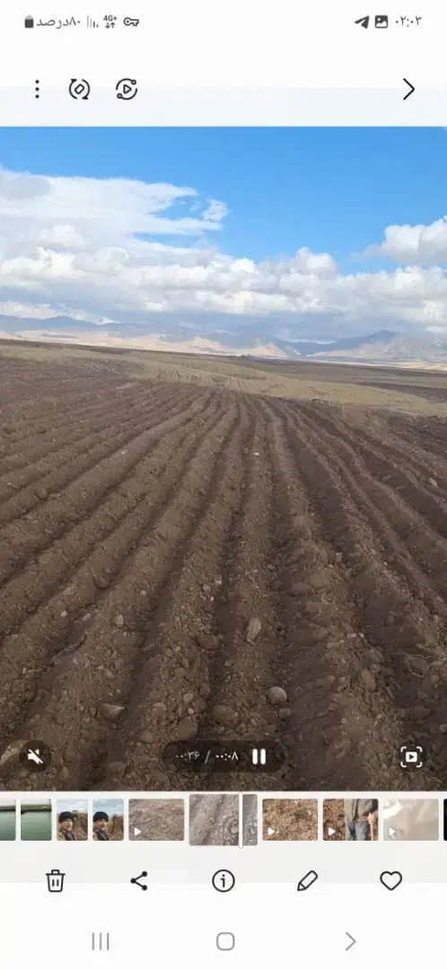 اجاره زمین  کشاورزی|اجارهٔ دفتر صنعتی، کشاورزی، تجاری|قره پشتلو, |دیوار