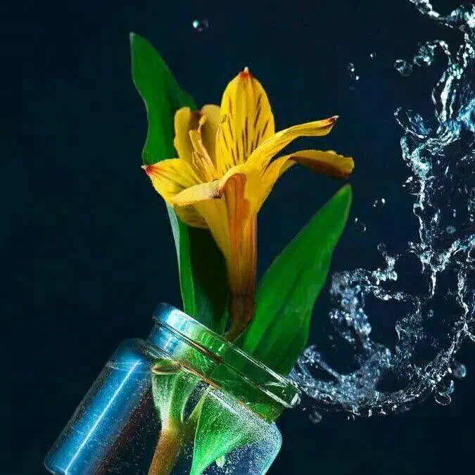 داوطلبانه|فعالیت داوطلبانه|بیستون, |دیوار