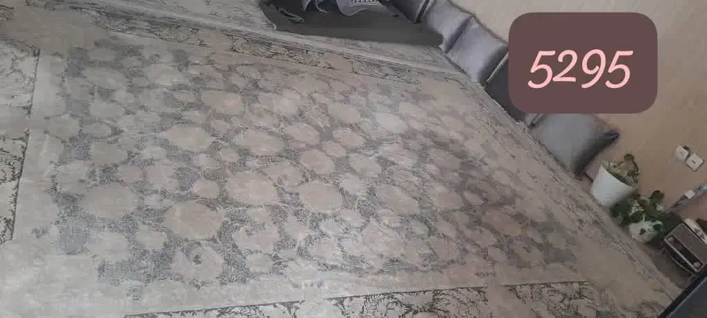 دو فرش دوازده متری|فرش|شیراز, سرو|دیوار