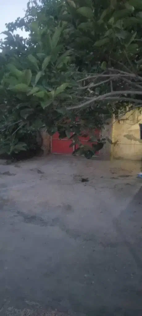 اجاره خانه ویلایی ۱۲۰ متری حیاط دار|اجارهٔ خانه و ویلا|اسدآباد, |دیوار