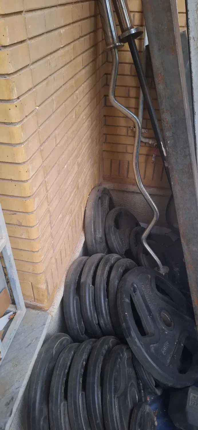 دمبل شش ضلعی وصفحه|تجهیزات ورزشی|شیراز, فرگاز|دیوار