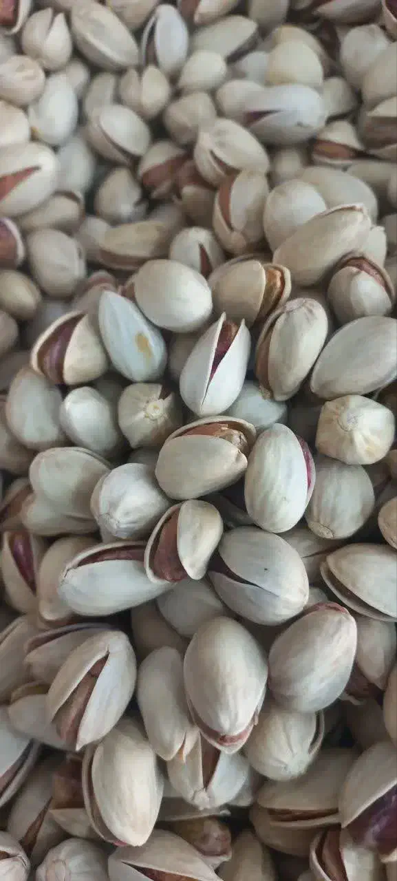 پسته احمدآقایی و اکبری با تخفیف امکان تست قبل خرید|خوردنی و آشامیدنی|قم, بلوار امین و ساحلی|دیوار