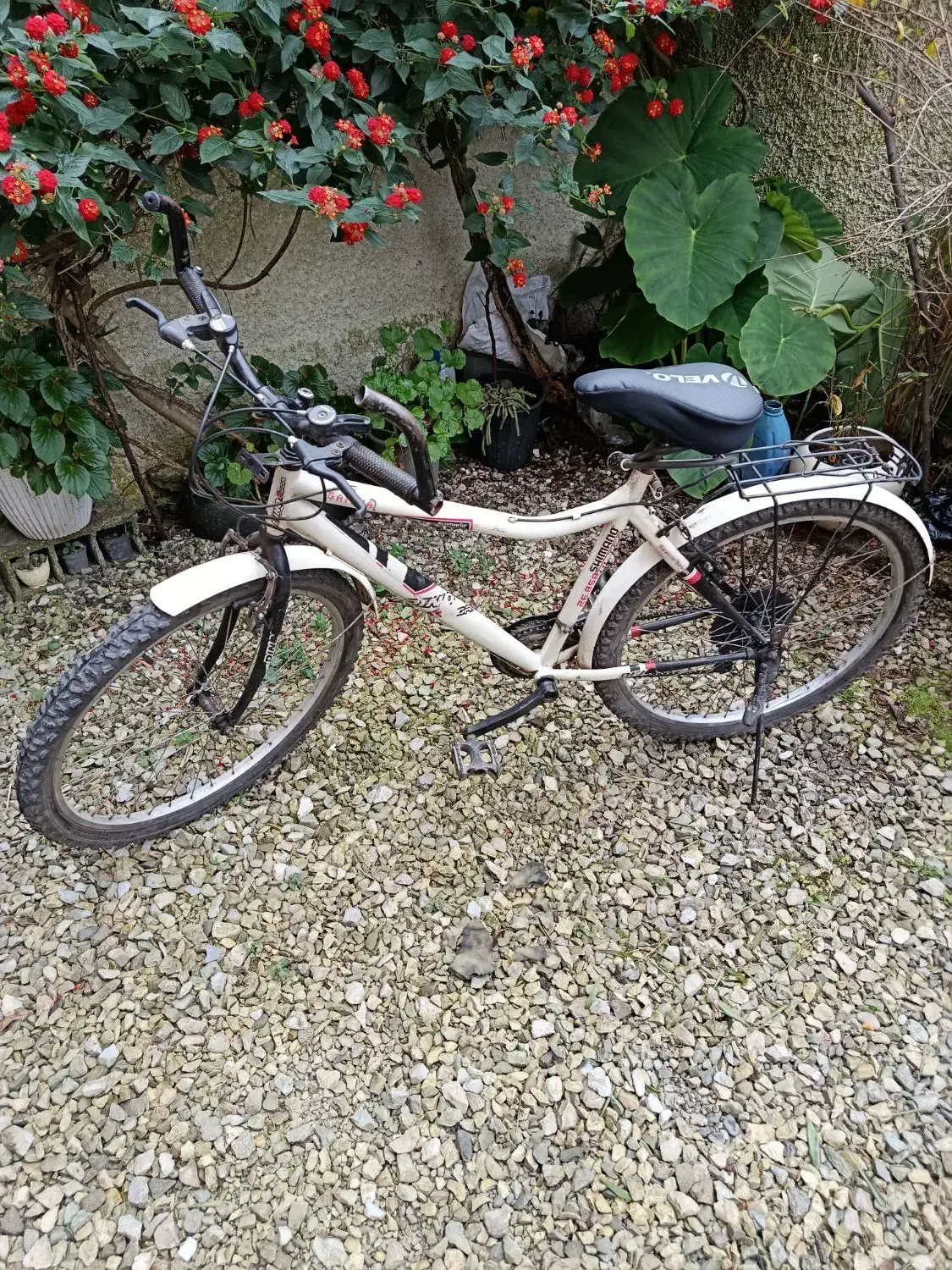 دوچرخه ۲۶|دوچرخه، اسکیت، اسکوتر|عباس‌آباد, |دیوار