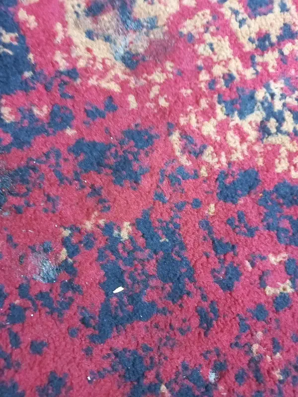 گم شدن شناسنامه|اشیا|ایذه, |دیوار