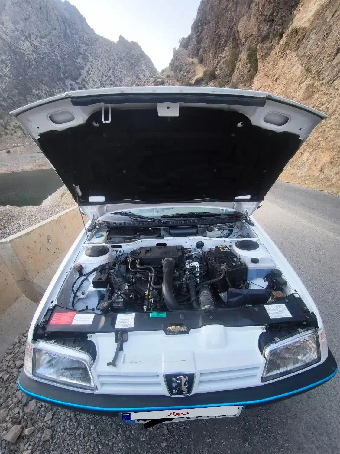 پژو ۴۰۵ مدل ۹۱ اتاق تعویض|خودرو سواری و وانت|نوسود, |دیوار