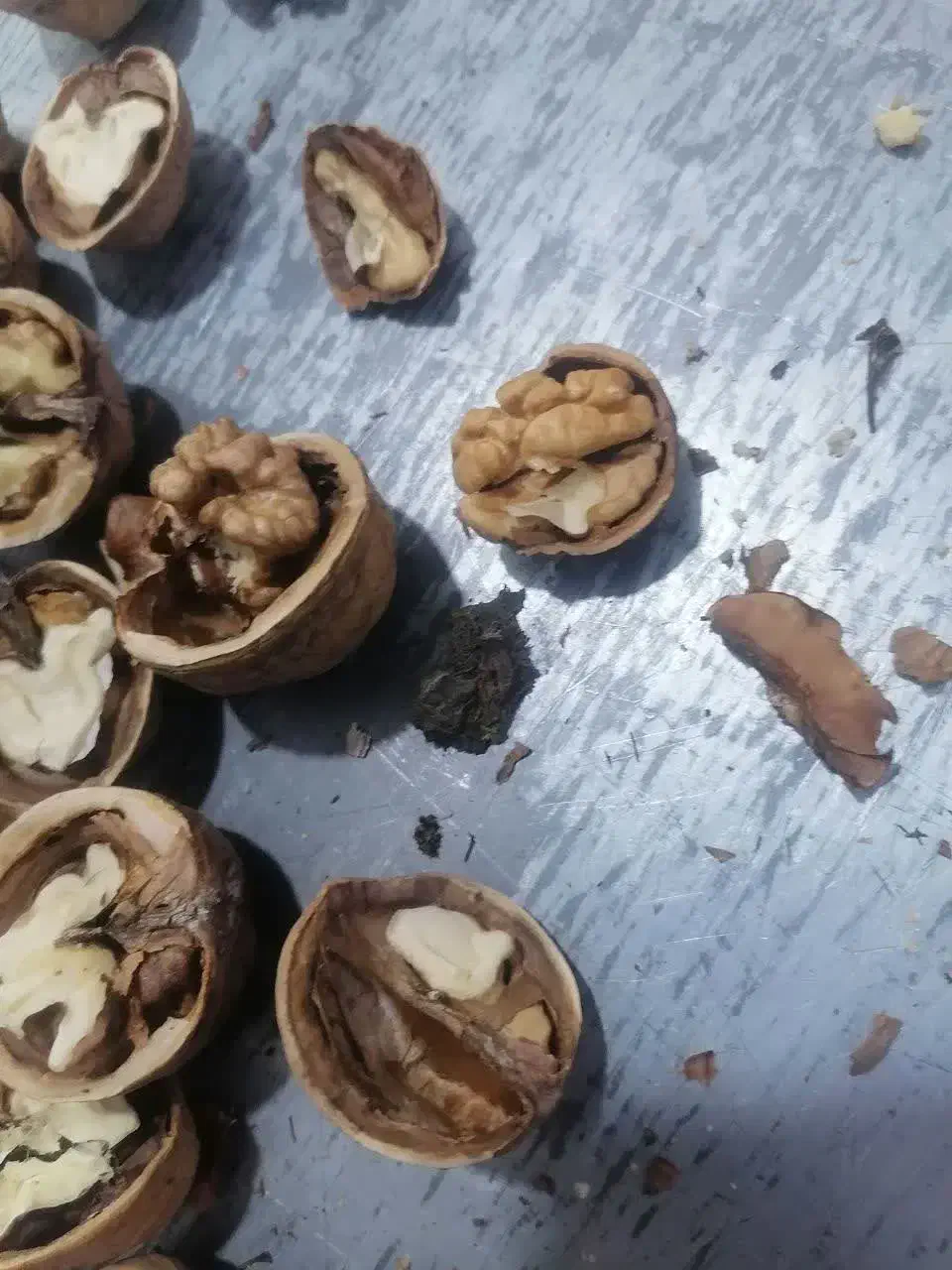 گردو تازه تویسرکان  پرچرب|خوردنی و آشامیدنی|قم, شهرک فاطمیه|دیوار