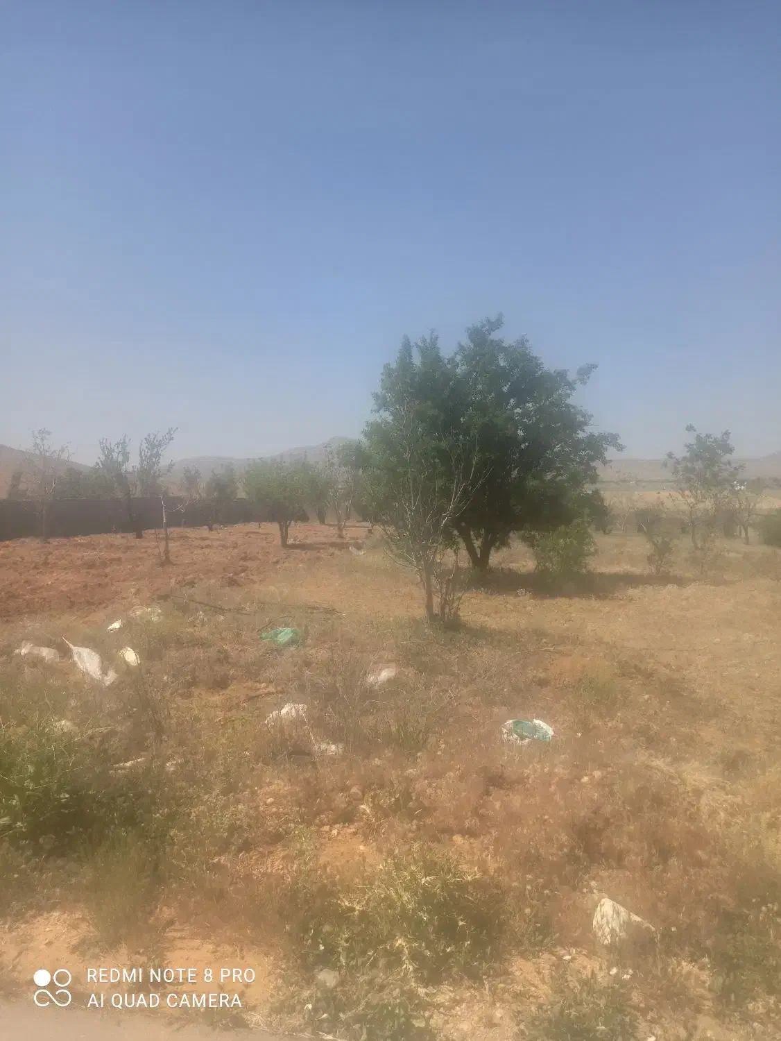 زمین کشاورزی واقع در ابتدای کودیان|فروش زمین و ملک کلنگی|شیراز, کودیان|دیوار