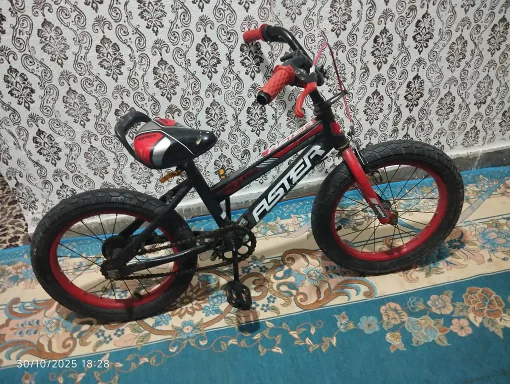 دوچرخه|دوچرخه، اسکیت، اسکوتر|میناب, |دیوار