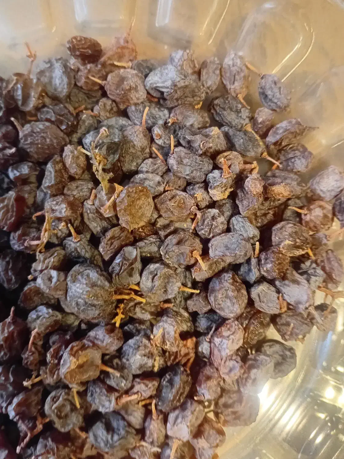 کشمش آفتابی تازه باغ|خوردنی و آشامیدنی|خرمدره, |دیوار