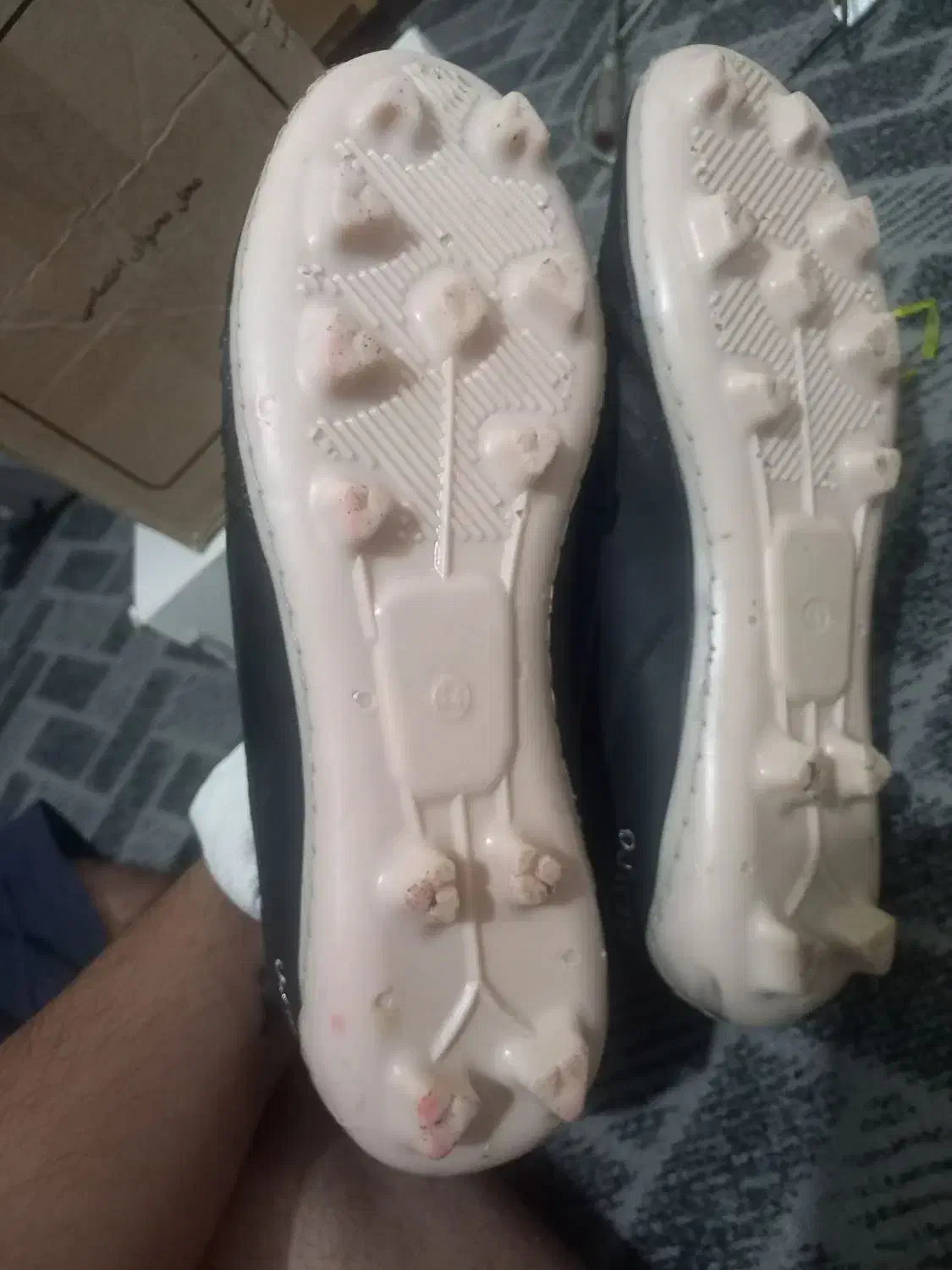 کفش|تجهیزات ورزشی|دوگنبدان, |دیوار