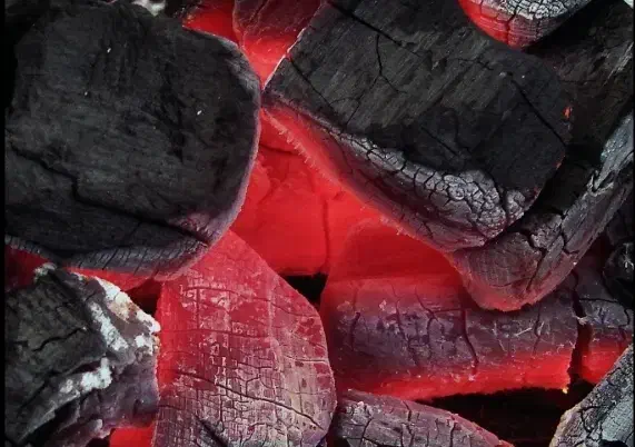 زغال کبابی|عمدهفروشی|بهار, |دیوار