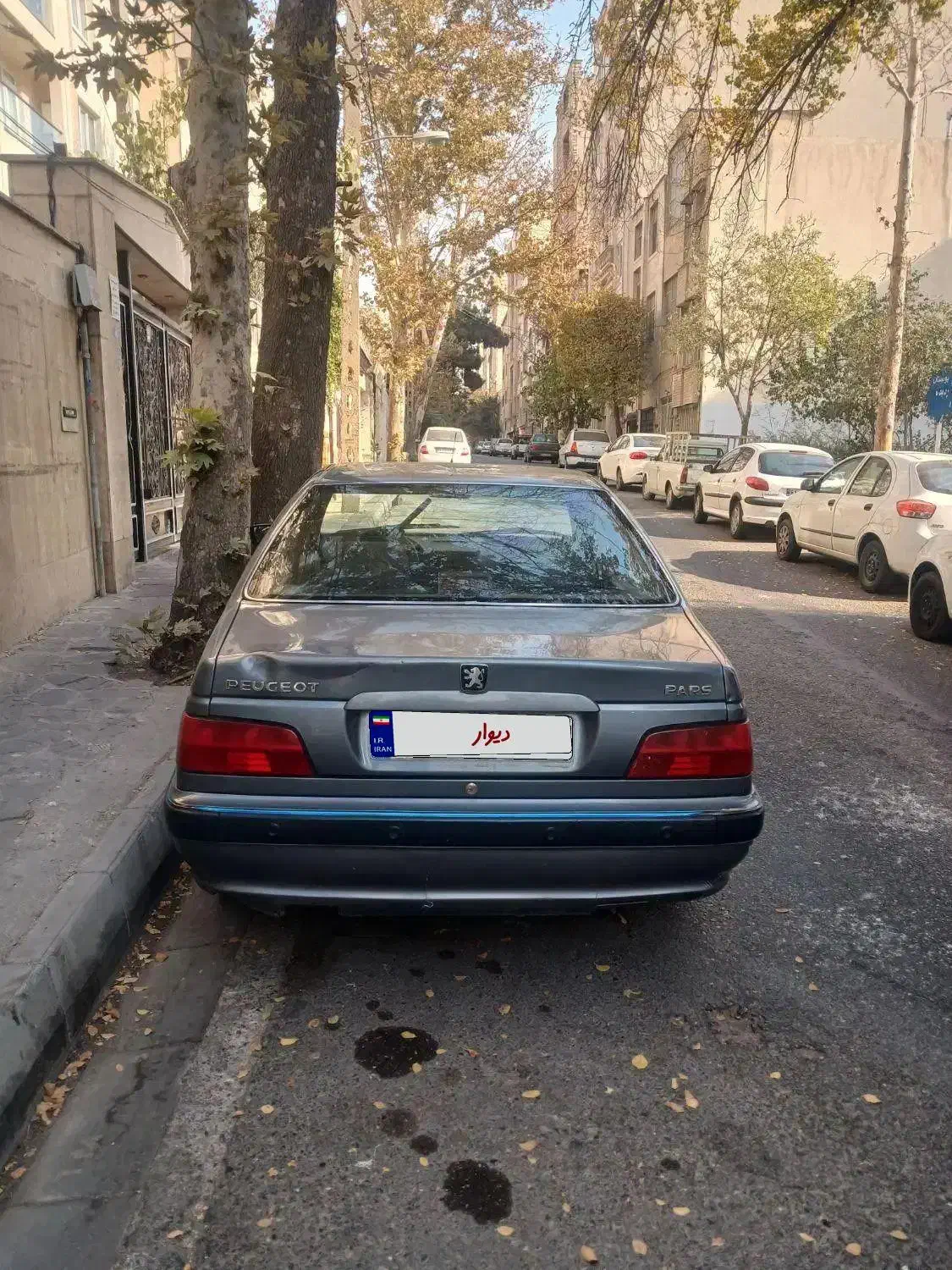 پژوپارس سال مدل ۱۳۹۳|خودرو سواری و وانت|تهران, قنات‌کوثر|دیوار