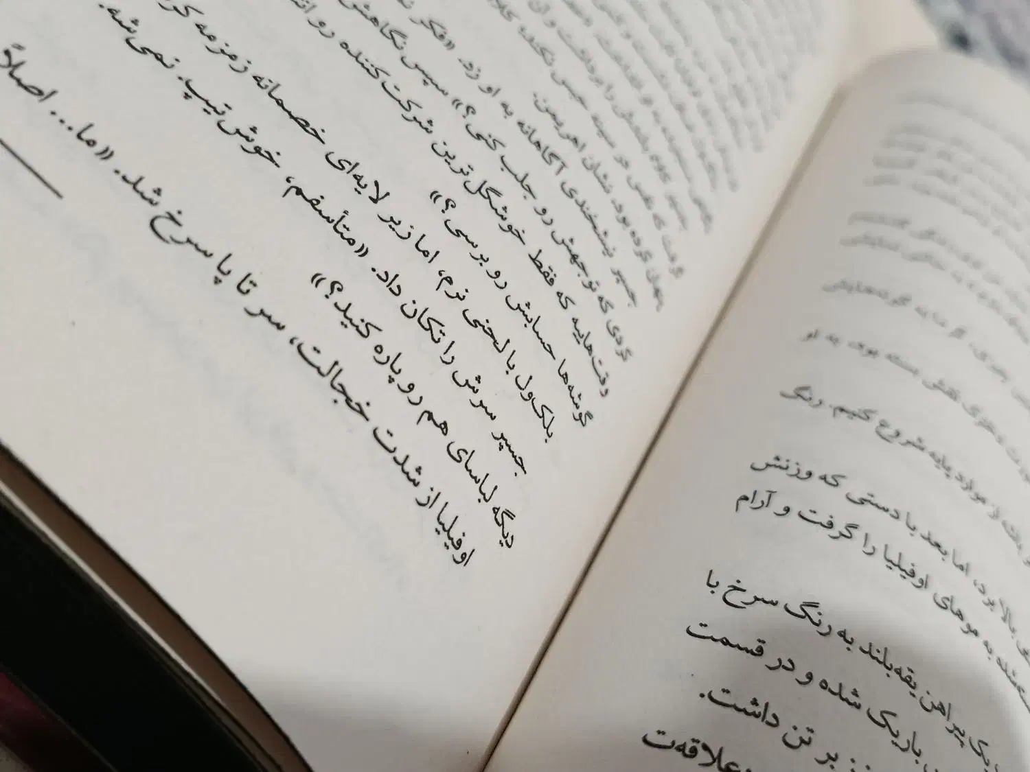 رمان فنتزما|کتاب و مجله ادبی|آبیک, |دیوار