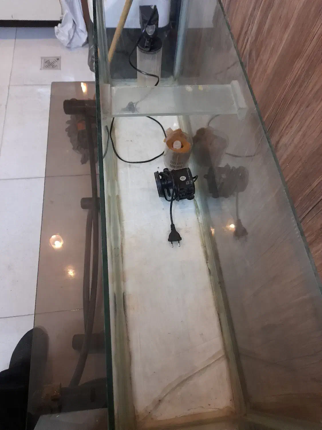 آکواریوم وموتورقوی وخیلی خوب است|ماهی|مشهد, آزادشهر|دیوار